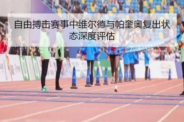 自由搏击赛事中维尔德与帕奎奥复出状态深度评估